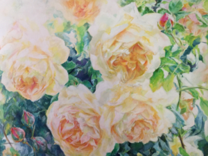 Roses