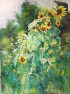 Sunflowers in the Sunshine