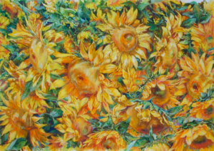 Sunflowers