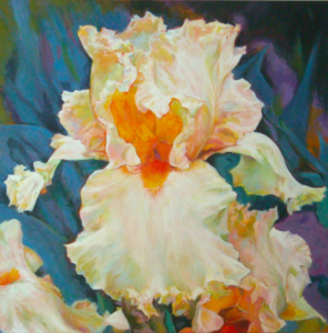 White Iris